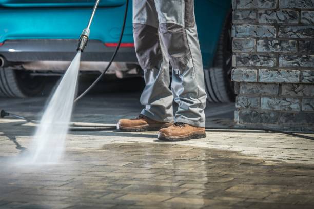 Best Patio and Deck Pressure Washing  in Lonaconing, MD