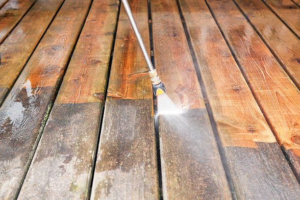 Best House Exterior Washing  in Lonaconing, MD